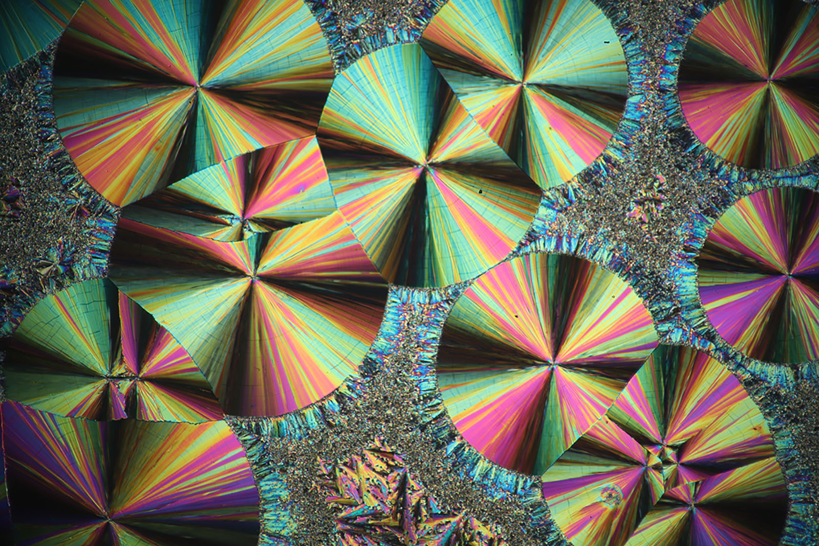 Salicine Crystals