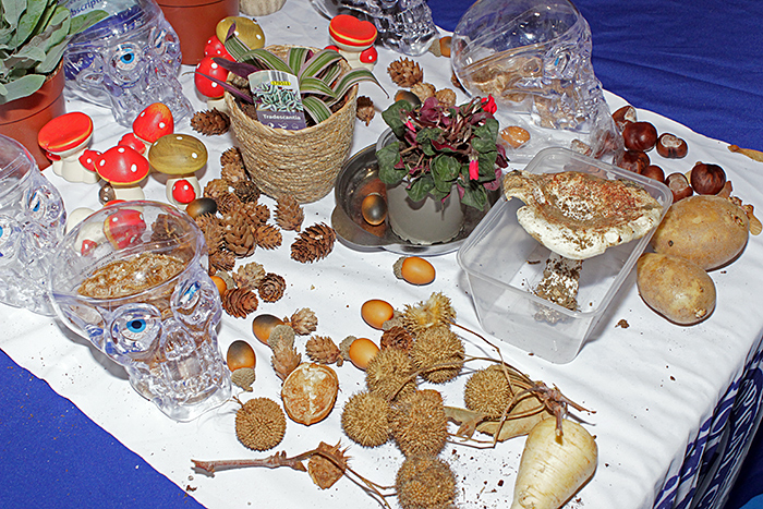 Autumnal specimens