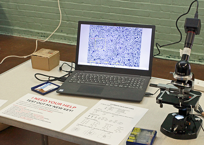 Chris Thomas’ exhibit