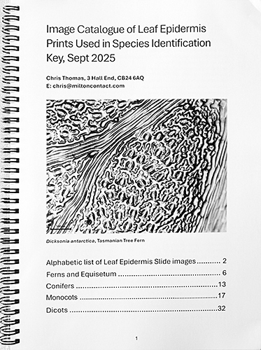 Key to leaf epidermis prints