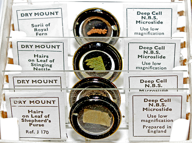 Dry mounts