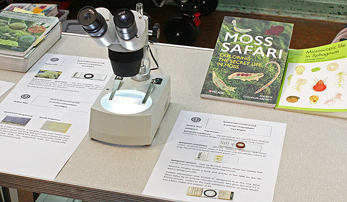 Joan Bingley’s exhibit