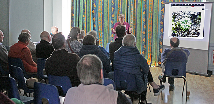 Joan Bingley lecturing