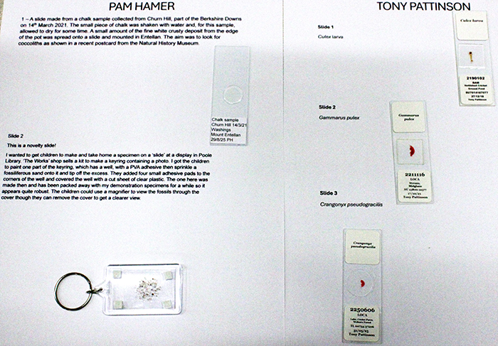 Slides by Pam Hamer and Tony Pattinson