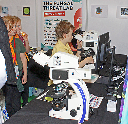 Centre for Medical Mycology