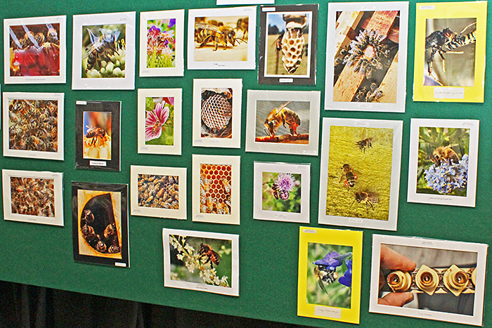 Photo competition
