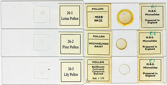 Slides of pollen