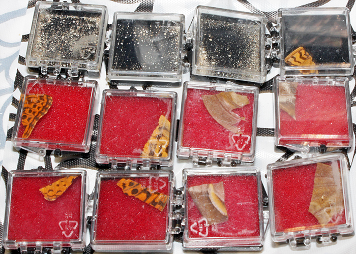 Sand and butterfly wings