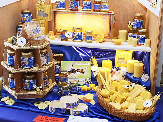 Shop window