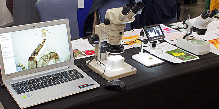 Stereo and digital microscopes