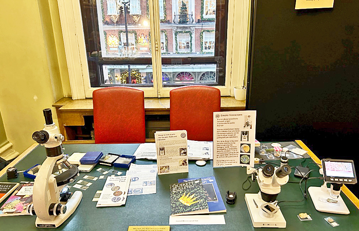 Our display showing Fortnum & Mason through the window
