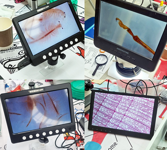 Digital microscopes