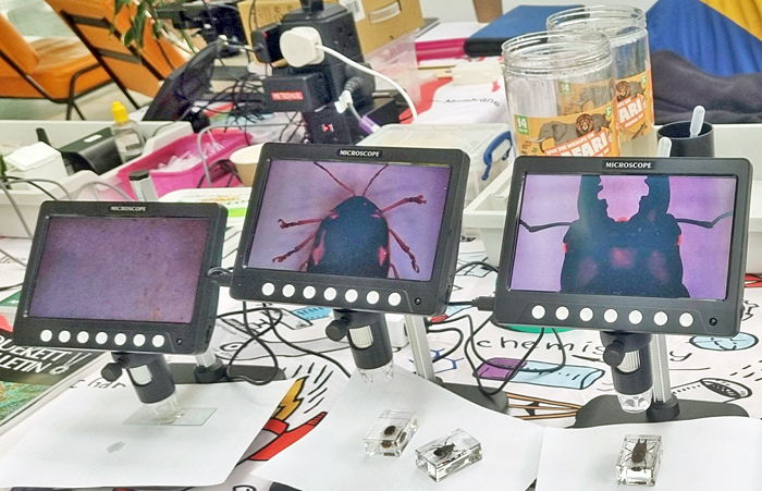 Digital microscopes