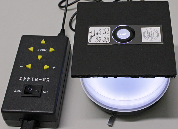 Dark-ground for a stereo microscope