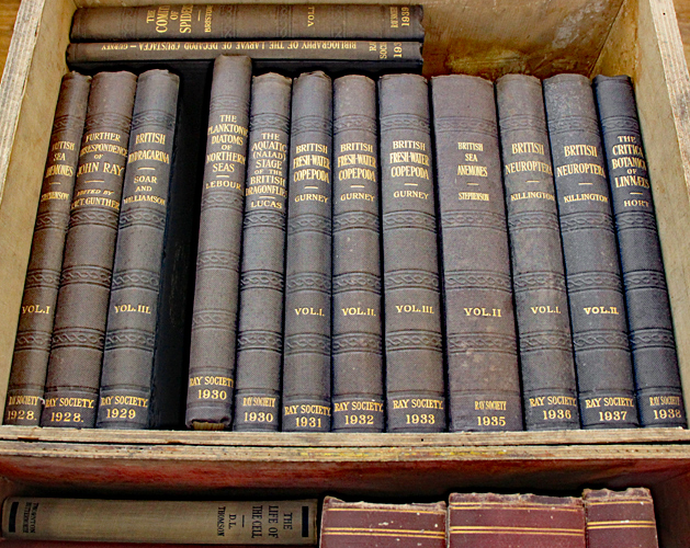 Chris Kennedy’s books