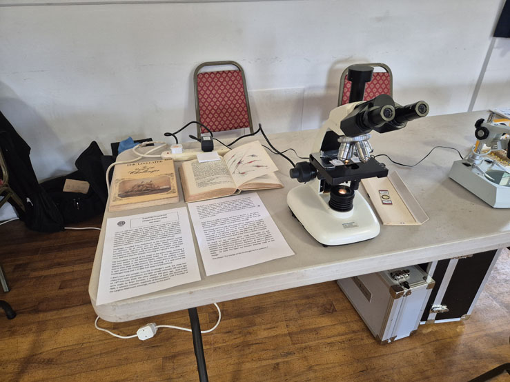 Joan_Bingley's_display