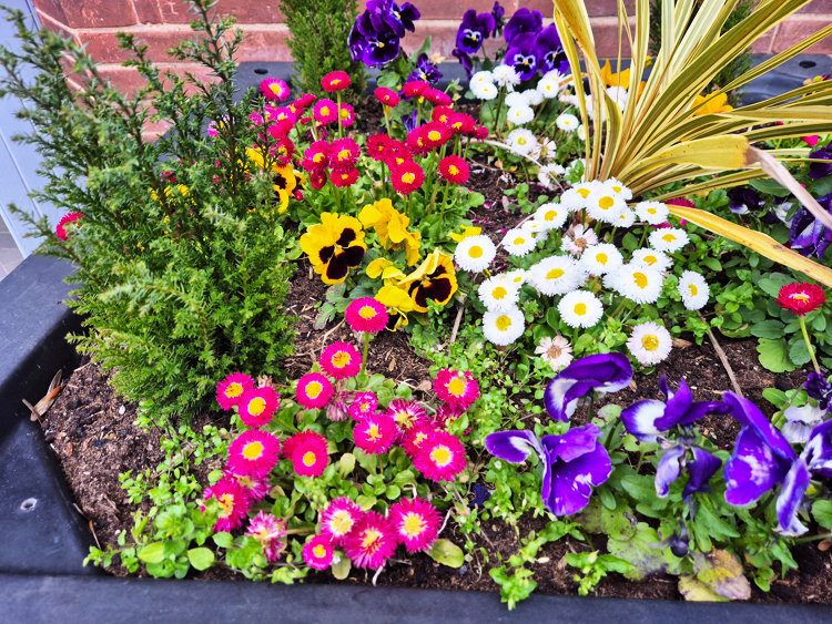 Flowers display outside Lockington Village Hall