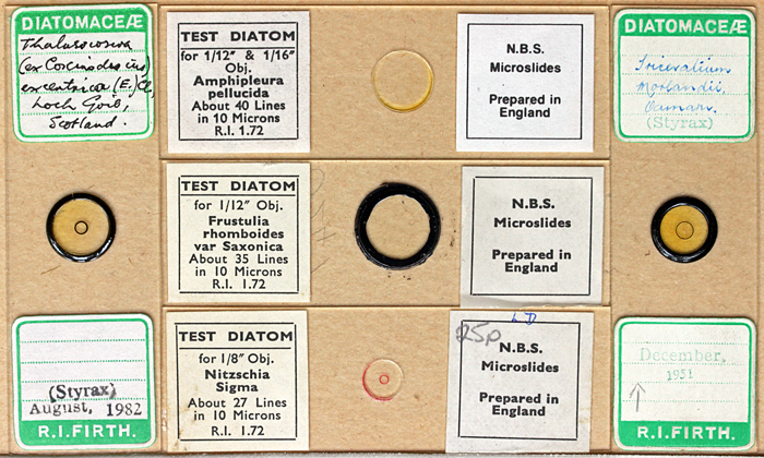 Joan Bingley’s diatom slides
