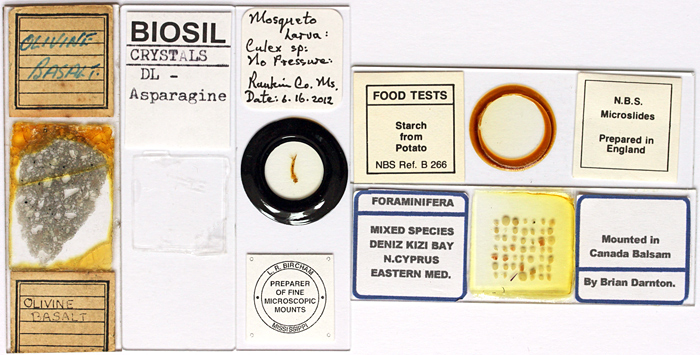Slides for viewing under crossed polars