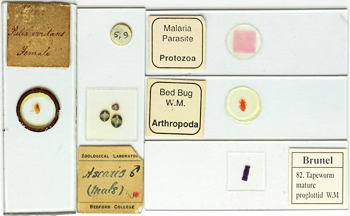 Alan Wood’s slides