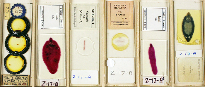 Robert Ratford’s slides