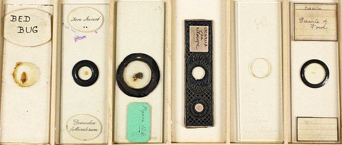 Robert Ratford’s slides