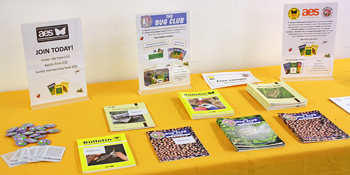 AES display