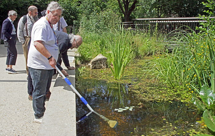 Collecting from the bottom of the pond