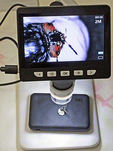 Digital microscope
