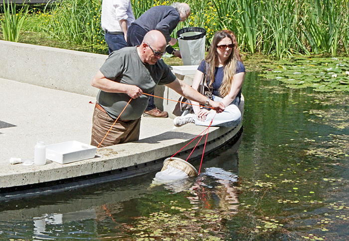 Collecting from the water column