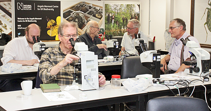 Members and microscopes