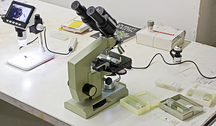 Compound and digital microscopes
