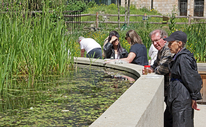 Raised pond in the Nature Discovery Garden