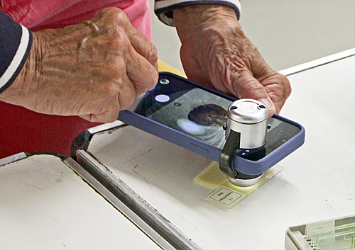 Photographing slide with smartphone adapter