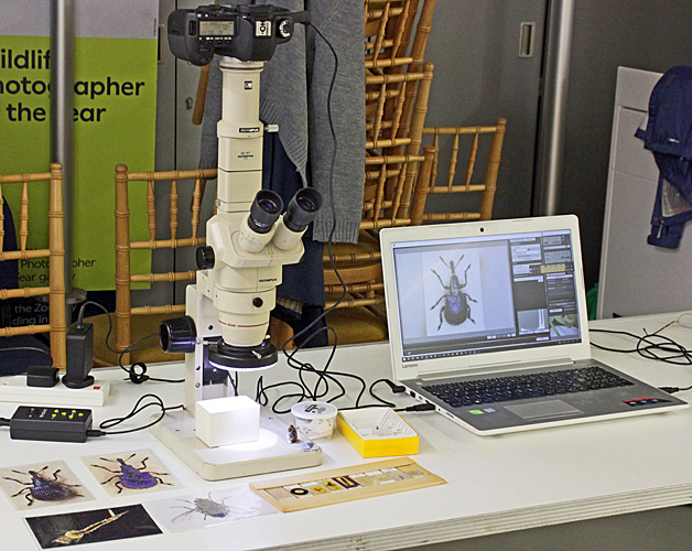 Stereo microscope