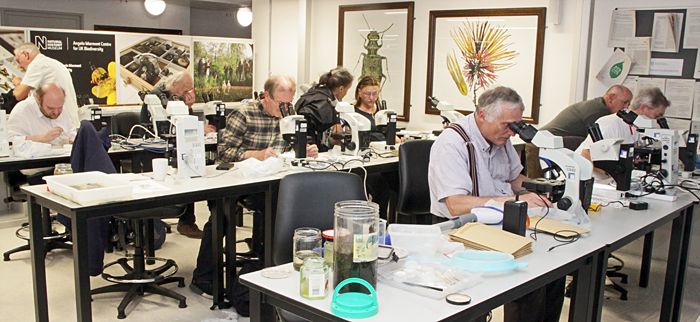 Members and microscopes