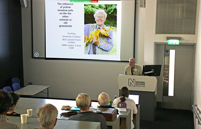 Tom King lecturing
