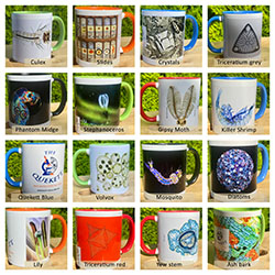 Mugs_collage- mugs with members' photomicrographs
