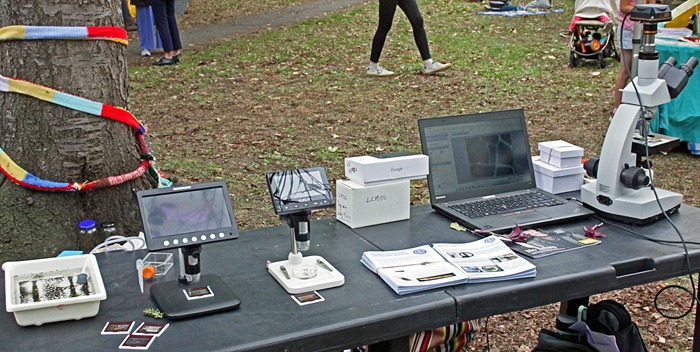 Digital and compound microscopes