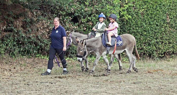 Donkey rides