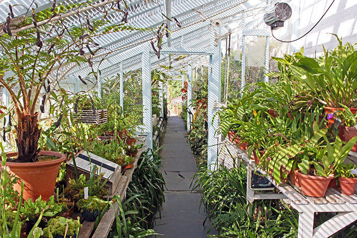 Inside the greenhouse