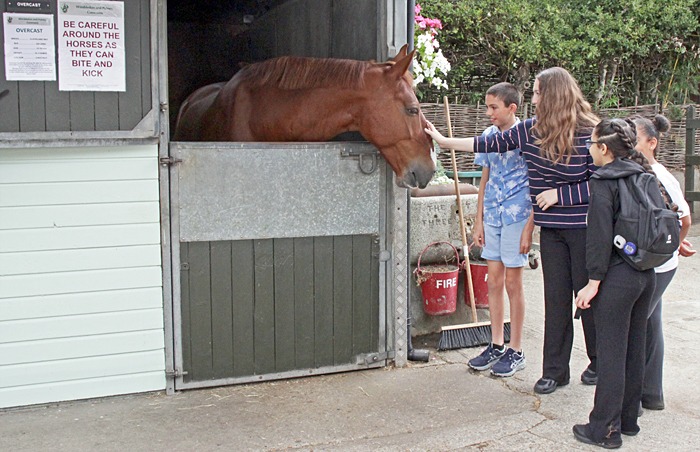 Stables