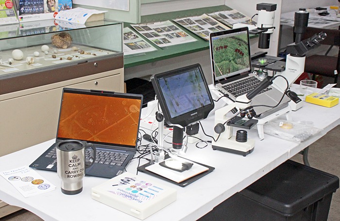 Compound microscopes and laptops
