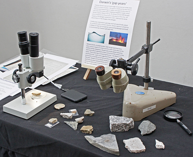 Pam Hamer’s display
