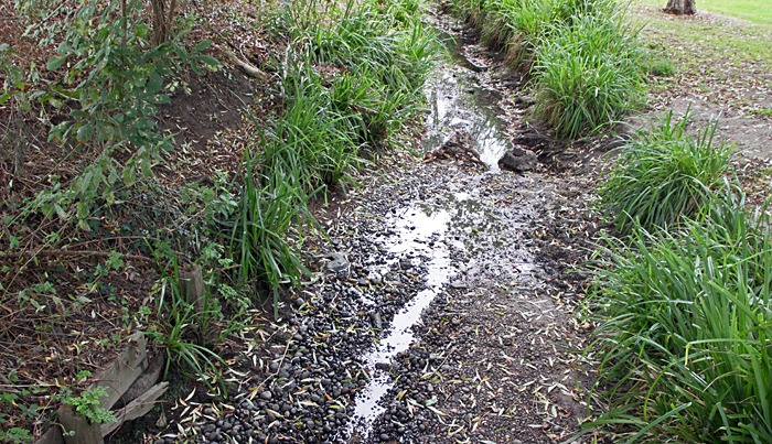 River Quaggy