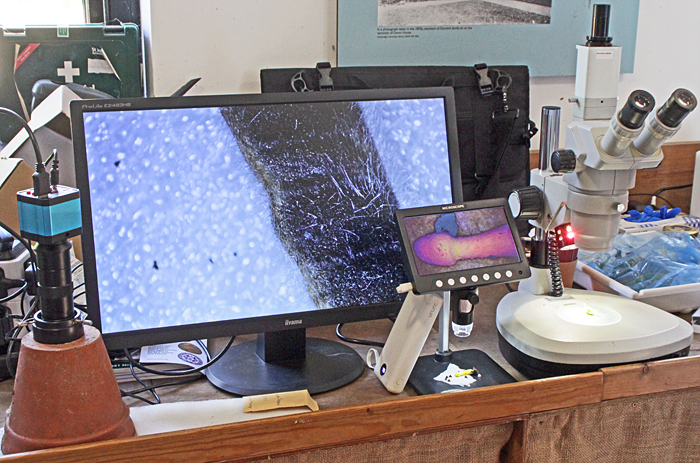 Robert Ratford’s display