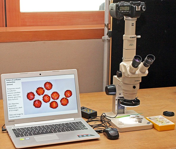 Slide show and stereo microscope
