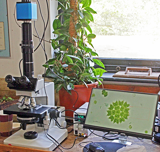 Stephen Durr’s display