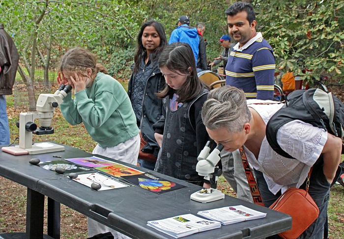 Visitors with stereo microscopes
