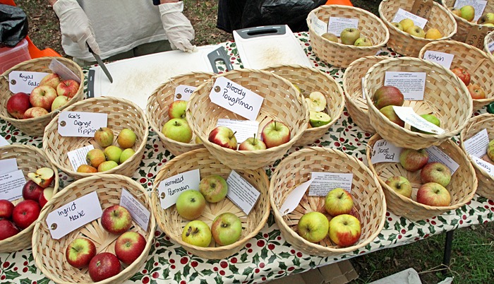Unusual varieties of apple